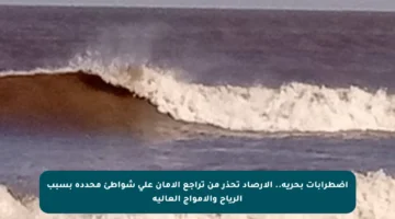 اضطرابات بحرية.. الأرصاد تحذر من تراجع الأمان على شواطئ محددة بسبب الرياح والأمواج العالية